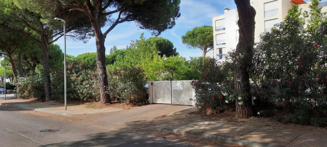 T 2 Mottland 300 M Plage La Grande Motte Exteriör bild